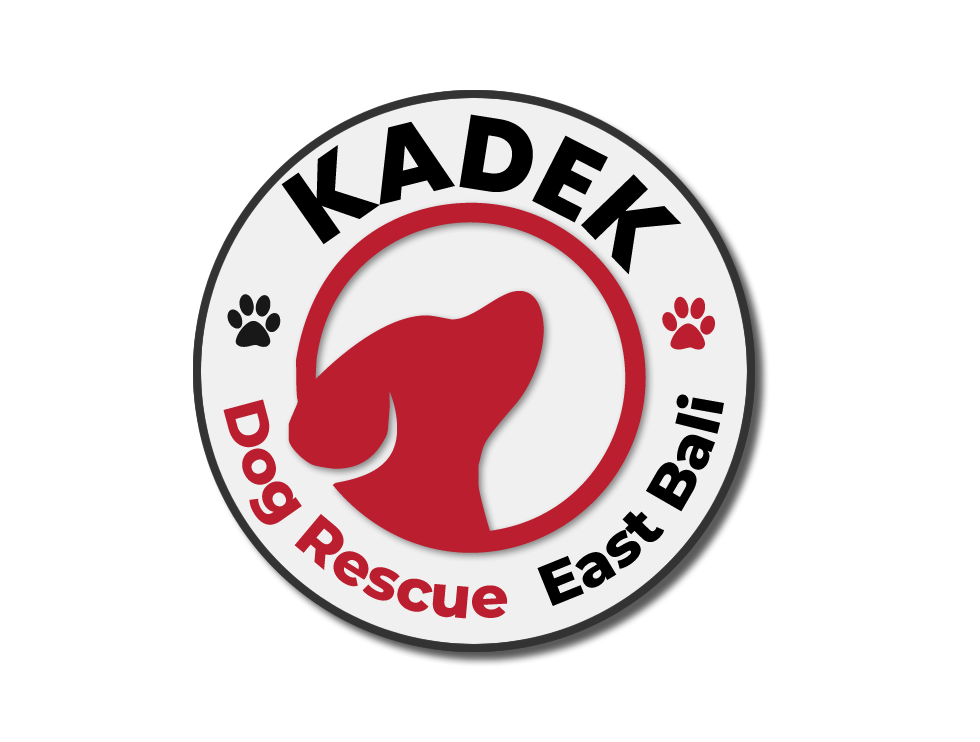 Kadek Dog Rescue East Bali